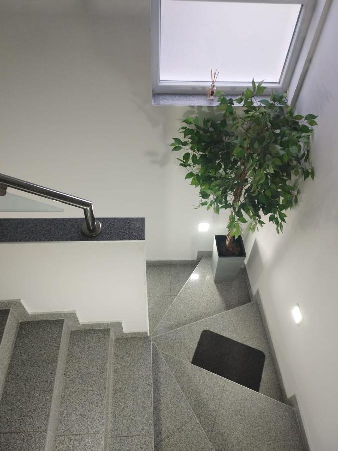 Apartman Lucano Bibinje Zewnętrze zdjęcie